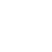 A picture of the favicon